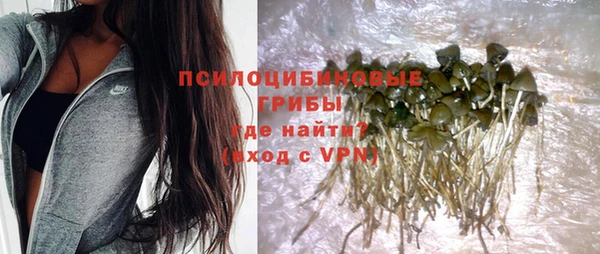 соль ск Кукмор