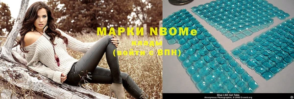 соль ск Кукмор