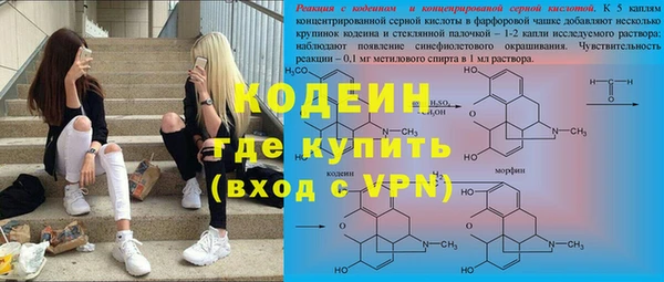 соль ск Кукмор