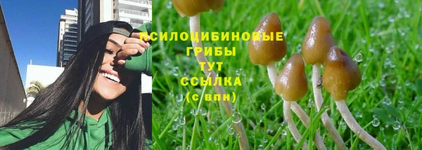 хмурый Куйбышев